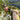 src=0013128-spesial-exclusive-hammer-7-g-crd-105-jpeg__h=85d3d55968