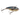 Prey Tailrunner 10g