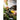 Kniv Kongla Black/Yellow