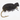 Arcticflies (Tørrflue) Foam Beetle