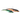 Søvik Predator