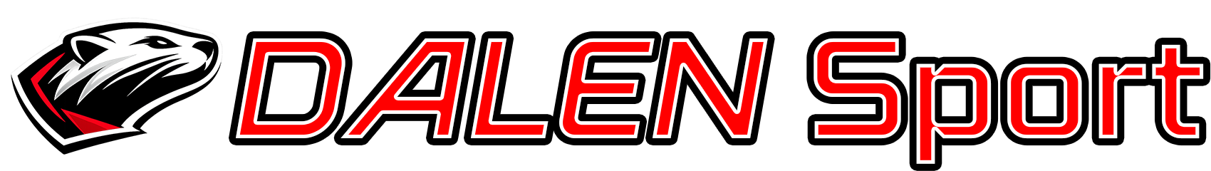 Dalensport